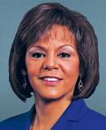 Photo of Robin L. Kelly