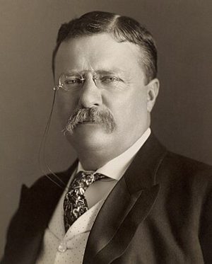 Photo of Theodore Roosevelt